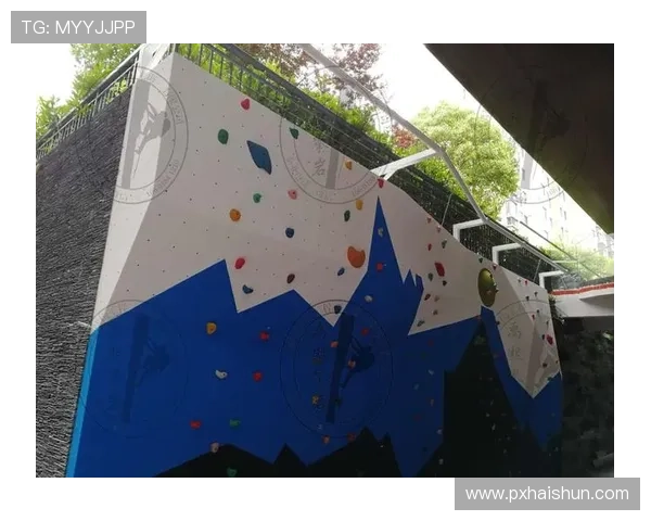 广州攀岩队如何通过阵地战革新提升竞技水平与团队协作能力