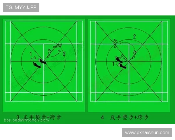 广州羽毛球队与北京羽毛球队赛后分析力量对比与战术探讨