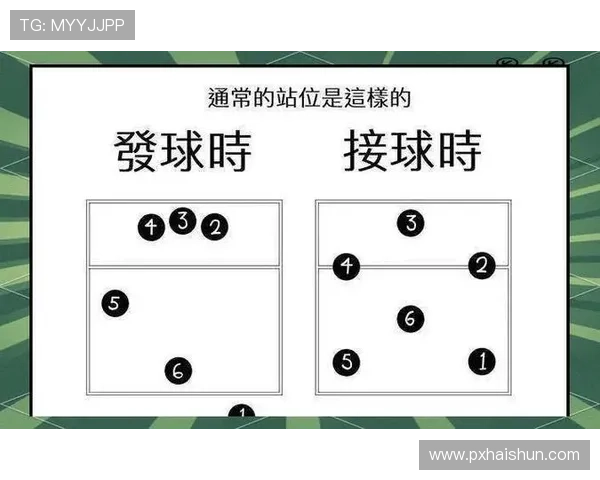排球盛宴：深入解析杭州排球队的战术布局与训练秘诀